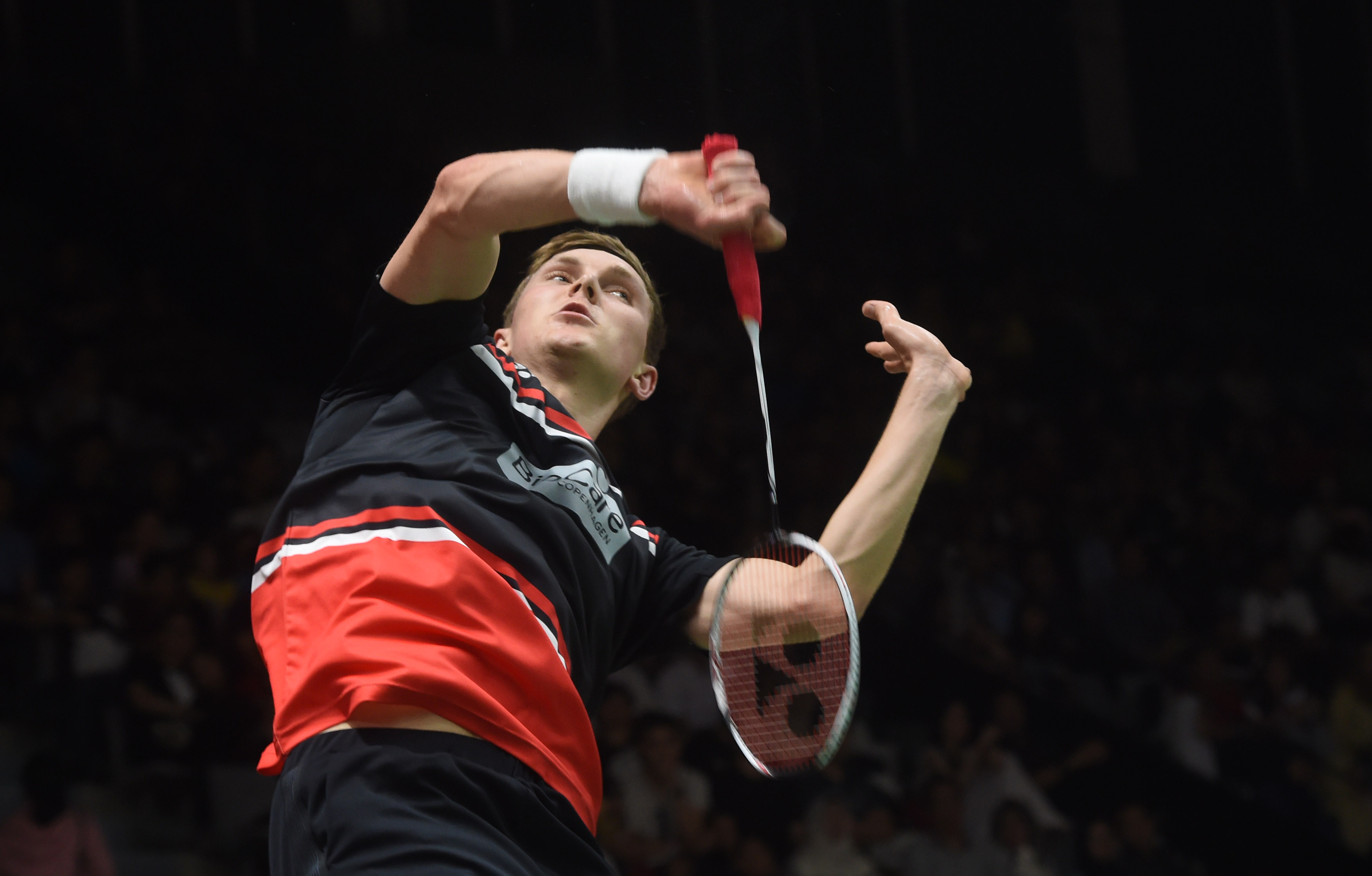 还能够在未 还能够在未