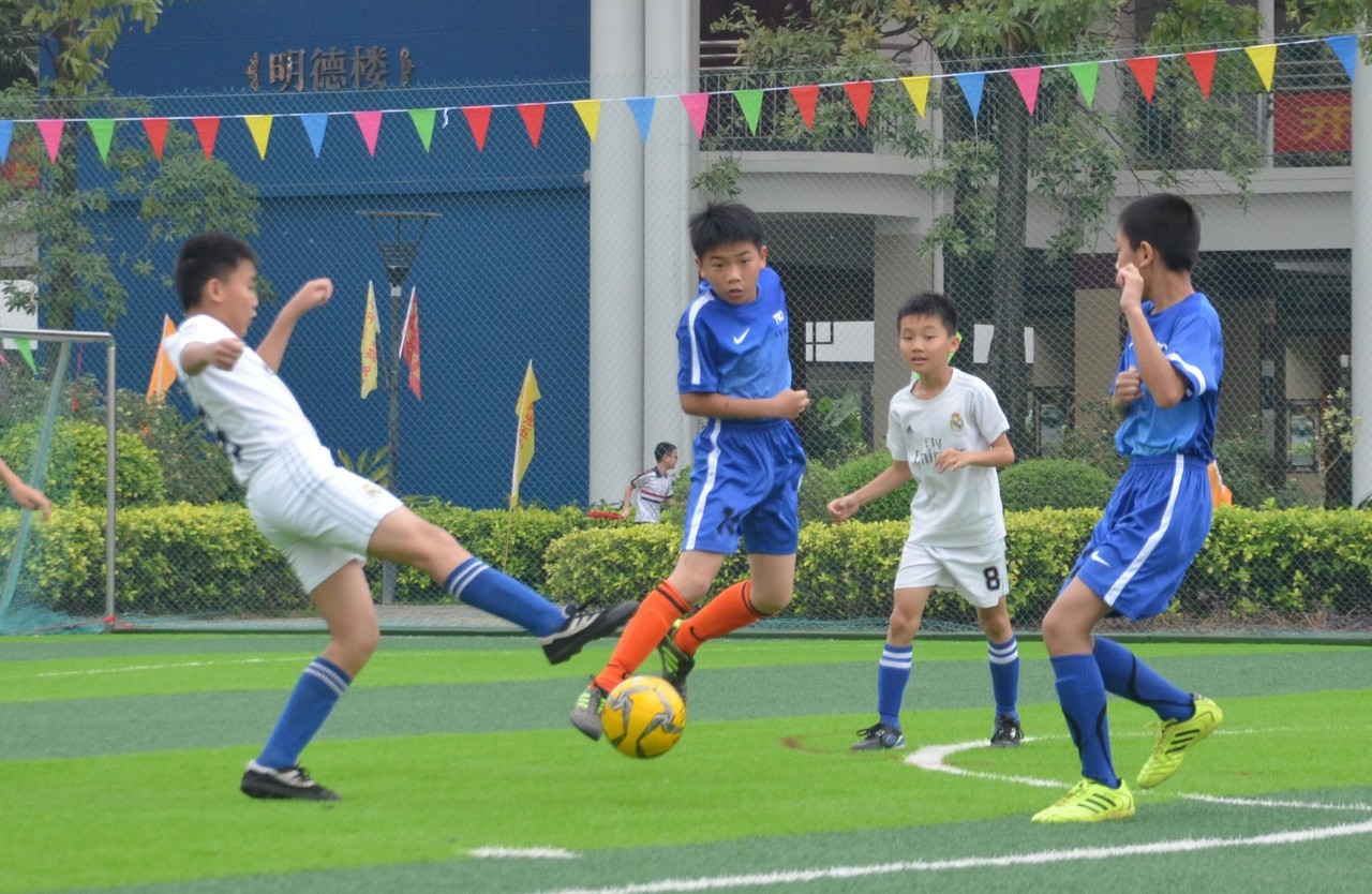 的战术意图 的战术意图