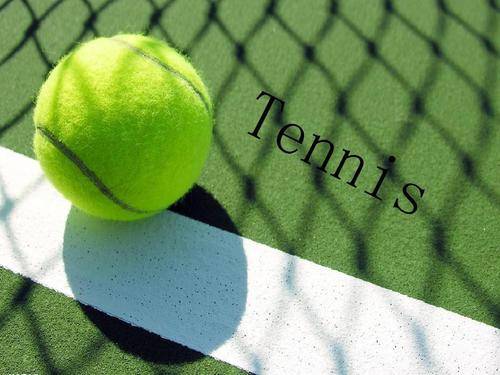 精准的铁杆 精准的铁杆