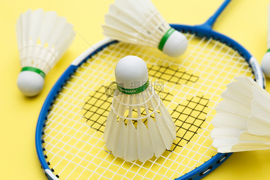 前锋张某某 前锋张某某